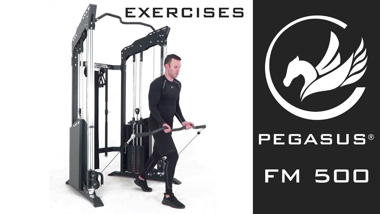 Pegasus FM500 Functional Trainer Exercises