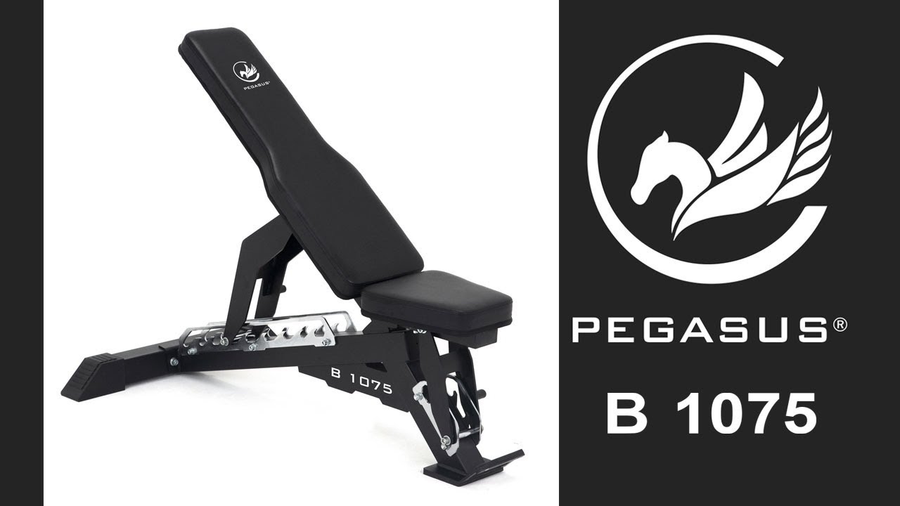 Pegasus B1075 Bench