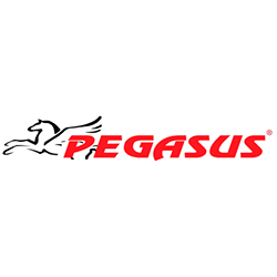 Pegasus Fitness logo