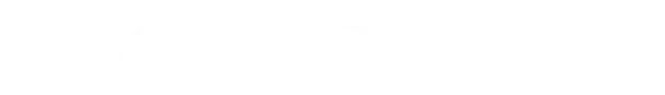 Smart tools logo