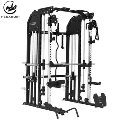 Pegasus All‑in‑One Trainer X1