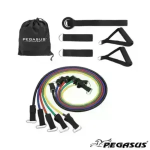 Σετ Λάστιχα Ενδυνάμωσης με Λαβές Pegasus